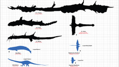 High Resolution largestanimals
