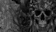 High Resolution medusaskull