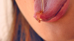 High Resolution sandracherries