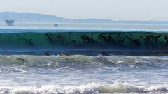 High Resolution seegrass