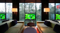 High Resolution sflx