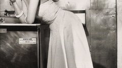 High Resolution sheryll fenn