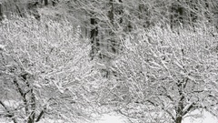 High Resolution winterscenes