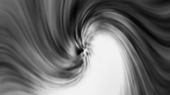 High Resolution womb