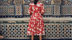 High Resolution ybroberouge