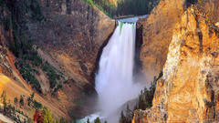 High Resolution yelgt