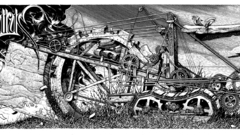 High Resolution zygomaturus