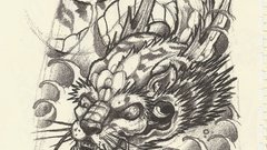 High scan Resolution