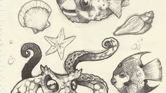 High scan Resolution