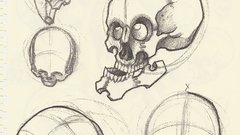 High scan Resolution