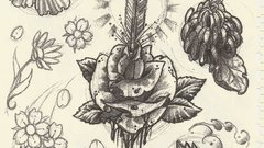 High scan Resolution