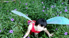 High stock hai guyz Resolution ferngully johtleeli