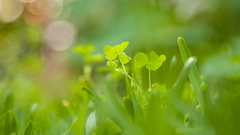 High think Made what This does