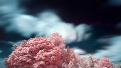 High This Resolution