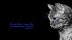 High version Resolution