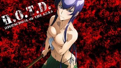 Highschool of the dead