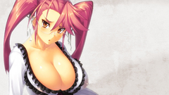 Highschool of the dead