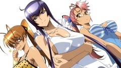 Highschool of the dead