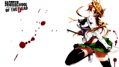Highschool of The dead