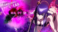 Highschool of the dead busujima saeko