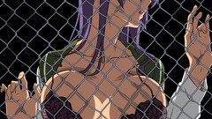 Highschool of the dead busujima saeko Chain Link Fence