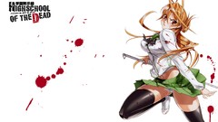 Highschool of the dead panties Miyamoto Rei