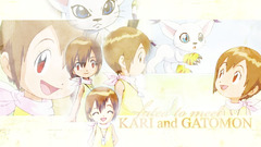 Hikari Digimon Manga Anime