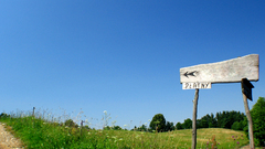 Hill and Wild Flowers