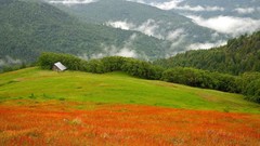 Hills barn California bald national park