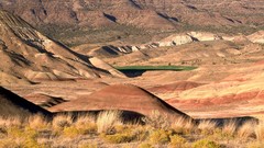 Hills beds painted National fossil