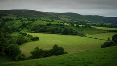 Hills Green Landscapes nature
