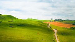 Hills New Zealand roads fields