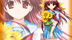 Himawari ve Got literally