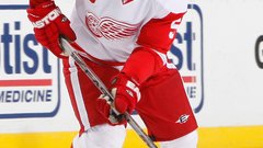 Hockey nhl Detroit Red