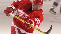 Hockey nhl detroit red