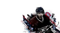 Hockey nhl montreal canadiens Mathieu Darche