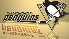 Hockey nhl Pittsburgh Penguins