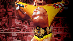 Hogan wrestling Sport