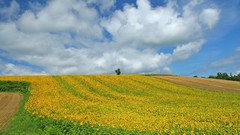 Hokkaido Japan clouds Landscapes