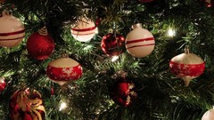 Holidays Christmas christmas tree Christmas Lights Christmas 