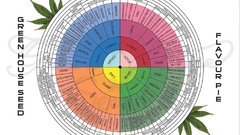 Holidays happy high chart Resolution