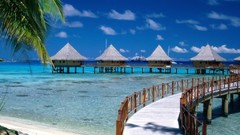 Holidays Sea Beaches