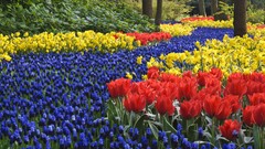 Holland The Netherlands