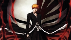 Hollow mask bleach kurosaki