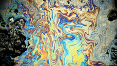 Holution You stole My