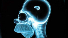 Homer Simpson brain The