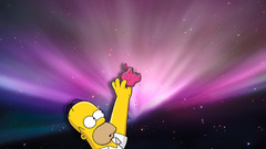 Homer simpson donuts apples