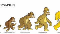 Homer Simpson Evolution The