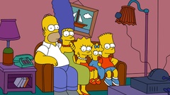 Homer Simpson The Simpsons