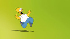 Homer Simpson The Simpsons
